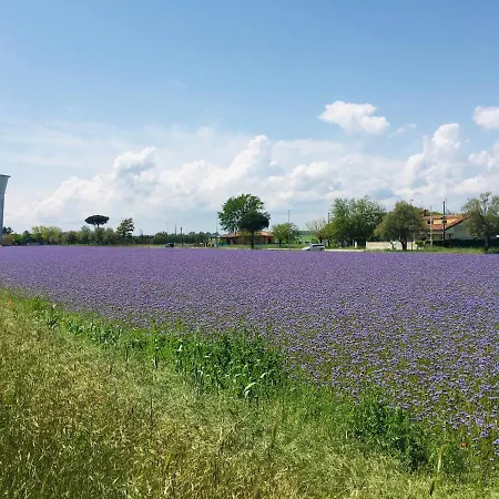 Bed & Breakfast Casa Egle Corbola