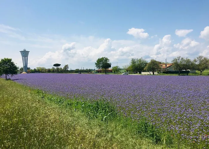 Couette-café Casa Egle Corbola